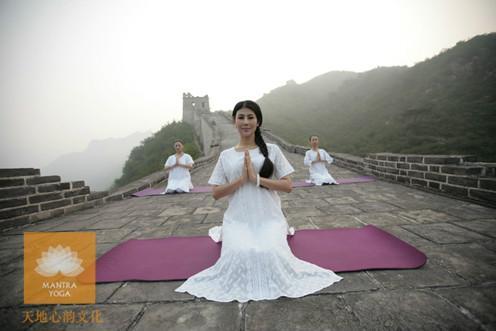 王媛瑜伽課程深度體驗與評估，王媛瑜伽課程深度體驗，全方位評估與反饋