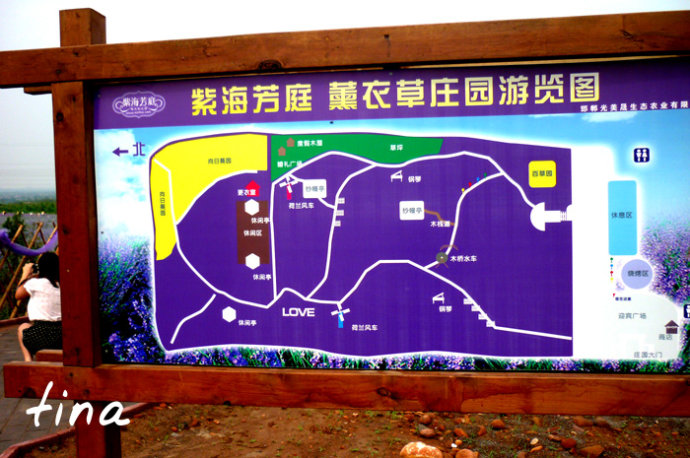 薰衣草莊園游玩攻略，薰衣草莊園游玩指南