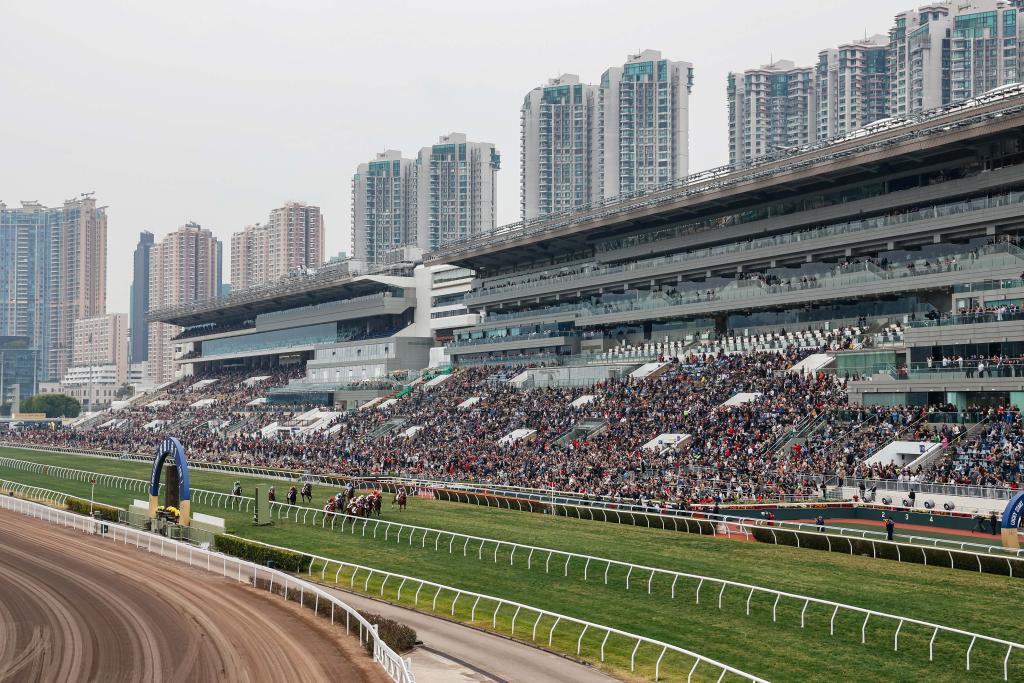 今晚香港開(kāi)特馬，探索未來(lái)的繁榮與活力，香港特馬開(kāi)啟之夜，繁榮與活力的未來(lái)探索