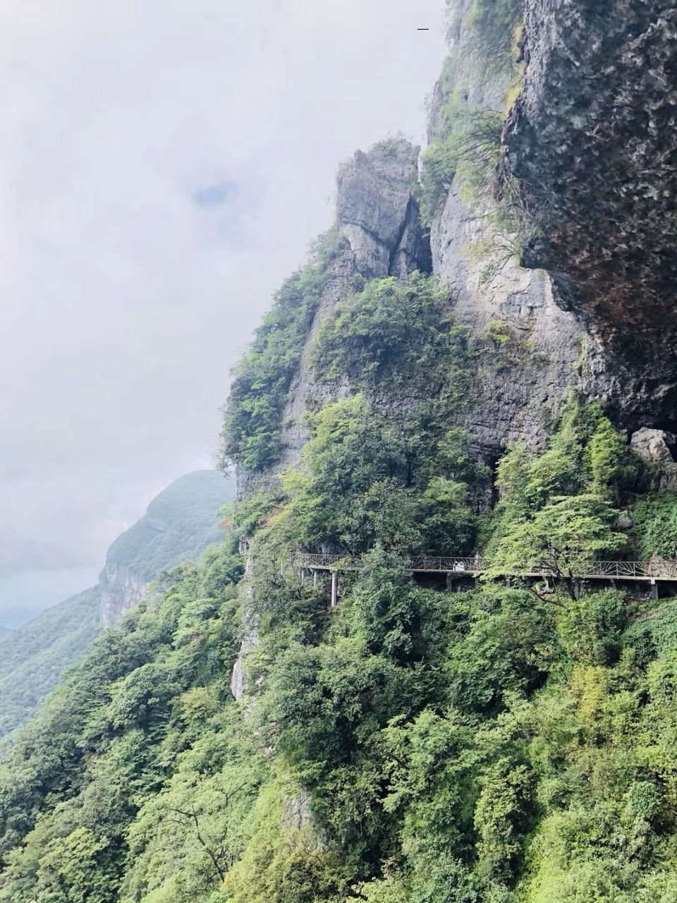 重慶金佛山風景區(qū)的自然魅力與人文底蘊，重慶金佛山風景區(qū)的自然人文魅力探秘