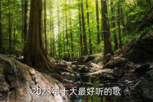 探索2023年十大最好聽的歌曲——音樂的魅力與情感的共鳴，2023年十大最好聽的歌曲，音樂魅力與情感共鳴的探索
