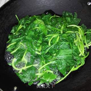 蔥油拌地瓜葉，一道家常美食的烹飪與品味，蔥油拌地瓜葉，家常美食的烹飪與品鑒