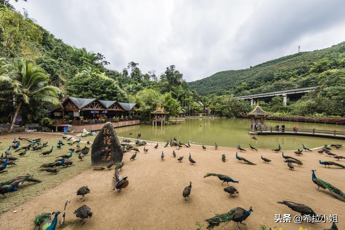 西雙版納旅游必去景點(diǎn)介紹，西雙版納必游景點(diǎn)攻略大全