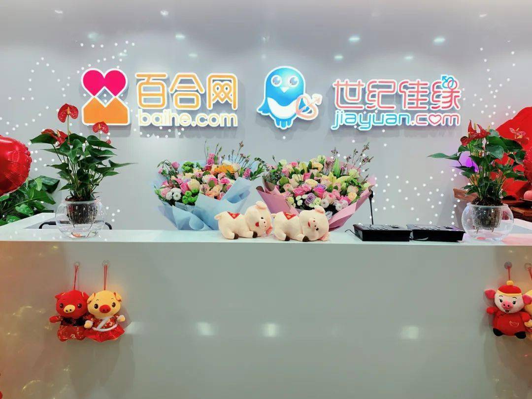 百合網(wǎng)與世紀(jì)佳緣，在線婚戀市場的雙璧人，在線婚戀市場巨頭對決，百合網(wǎng)與世紀(jì)佳緣的雙璧交鋒