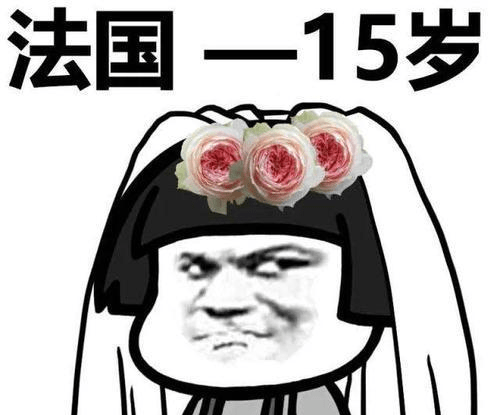 我想找個老婆，真摯的期待與承諾，尋找真愛伴侶，真摯的期待與承諾之旅