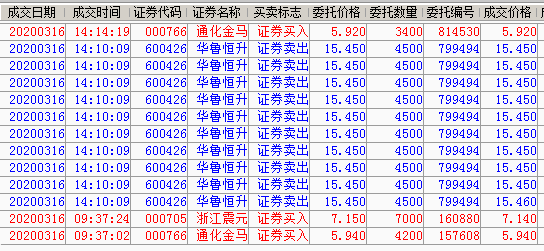 華魯恒生股票股吧——深度解析與前瞻，華魯恒生股票深度解析與前瞻——股吧熱議話題