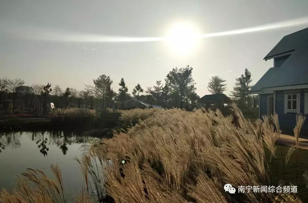 濟南園博園門票價格詳解，濟南園博園門票價格全面解析