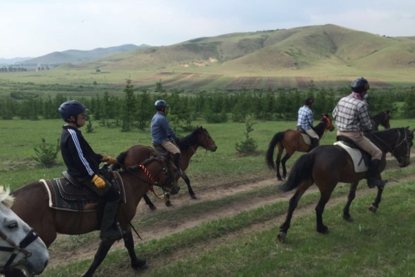 澳門特馬最快開獎結(jié)果，探索與解析，澳門特馬最新開獎結(jié)果解析與探索