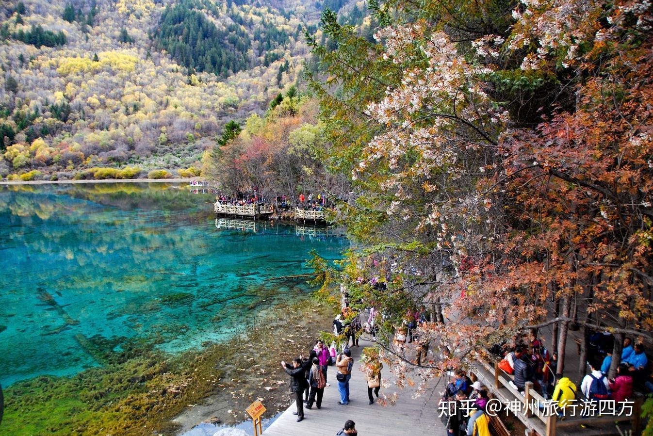 揭秘九寨溝旅游費用，去九寨溝旅游需要多少錢？，揭秘九寨溝旅游費用，預算多少才能暢游九寨溝？