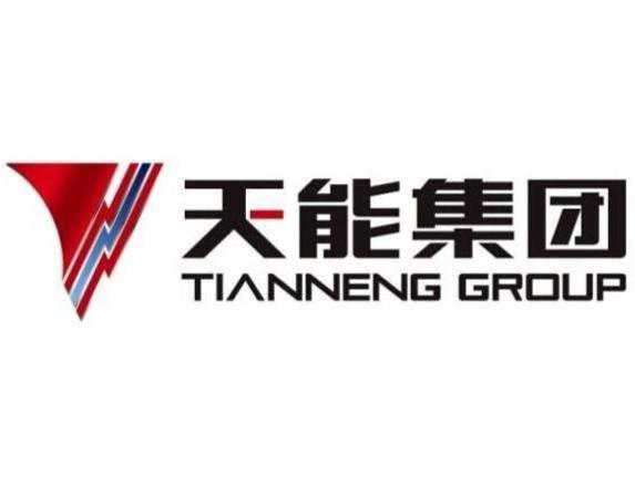 天能集團(tuán)股票，探究其背后的力量與潛力，天能集團(tuán)股票，探究背后的力量與潛力展望
