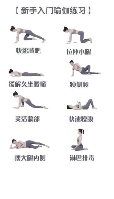 瑜伽入門，基本動作詳解及圖片指導(dǎo)，瑜伽入門指南，基本動作詳解與圖片指導(dǎo)