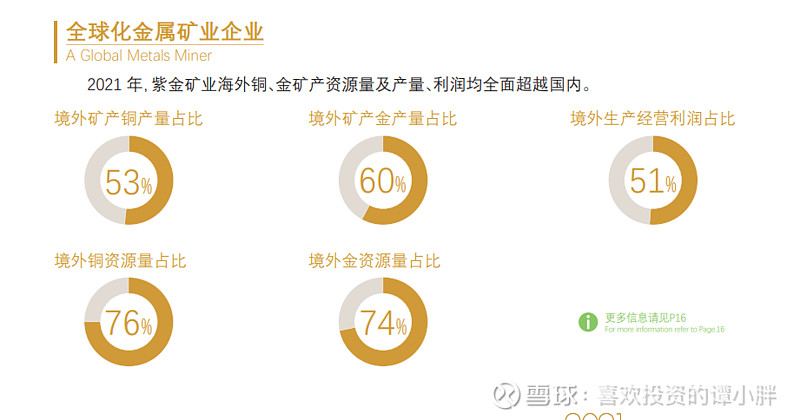 紫金礦業(yè)的未來潛力，探索其巨大的增長前景，紫金礦業(yè)增長前景展望，探索巨大潛力與未來展望