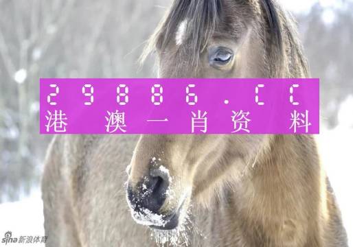 澳門(mén)一肖一碼，百分之百精準(zhǔn)的神秘背景故事，澳門(mén)神秘一肖一碼，百分之百精準(zhǔn)的傳奇故事