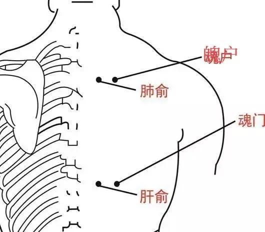止咳化痰最快的方法，全面解析與實(shí)用指南，快速止咳化痰實(shí)用指南，全面解析與實(shí)用方法