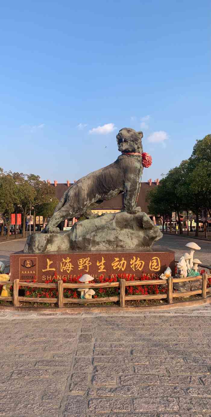 上海動物園與上海野生動物園，城市中的自然對決，上海城市中的自然對決，動物園與野生動物園的對比