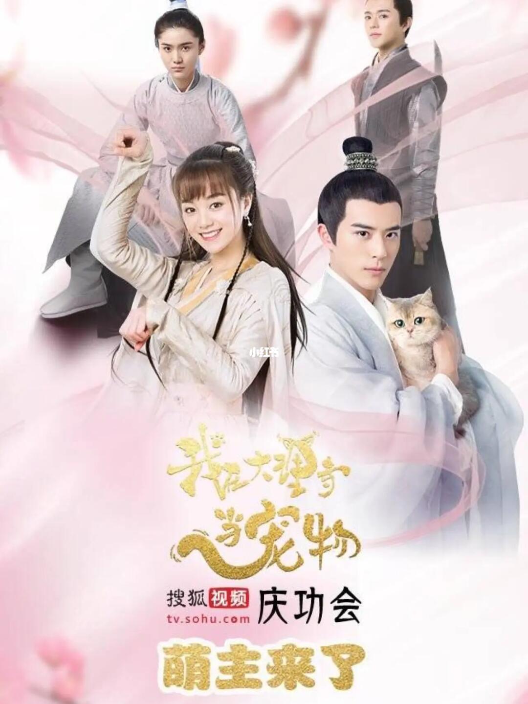 現(xiàn)代人穿越古代電視劇，時空交錯下的文化現(xiàn)象，時空交錯下的文化現(xiàn)象，現(xiàn)代人穿越古代電視劇的探討