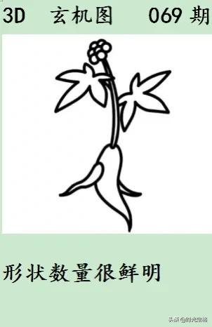 二四六玄機(jī)圖與資料大全，深度解析與探索，二四六玄機(jī)圖深度解析與資料大全探索