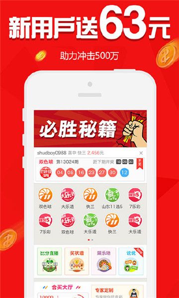 新澳門精準四肖期中特公開，探索與解析，澳門精準四肖期中特公開，深度探索與解析