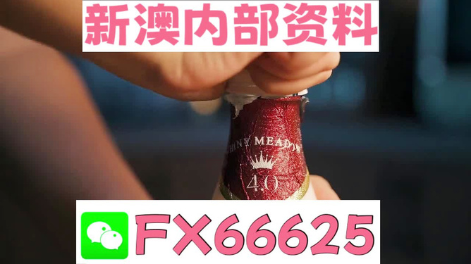 新澳門碼資料49圖庫，探索與解析，新澳門碼資料49圖庫，深度探索與解析