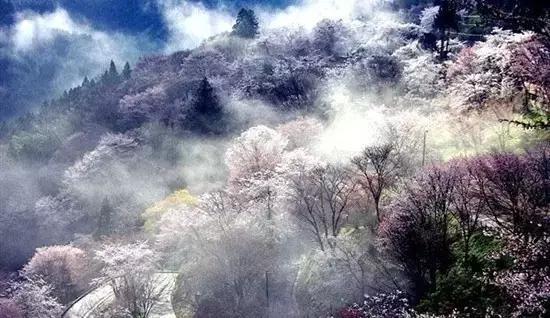 蘇州免費(fèi)好玩的景點(diǎn)推薦，蘇州免費(fèi)好玩的景點(diǎn)大揭秘