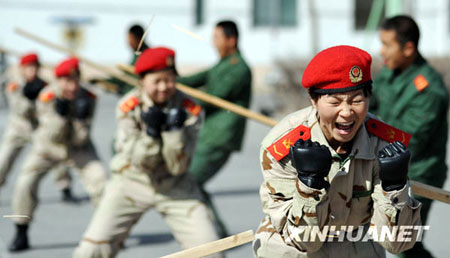 特警與武警，職責(zé)、能力與比較，特警與武警的職責(zé)、能力與比較分析