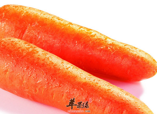 胡蘿卜，大自然的寶庫，揭示其強(qiáng)大的功效與作用，胡蘿卜，大自然的寶庫，揭示其驚人功效與作用