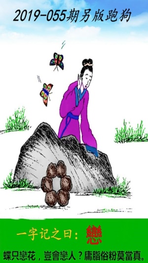 探索精準跑狗圖，數(shù)字組合的魅力與跑狗圖的奧秘，精準跑狗圖揭秘，數(shù)字組合的魅力和奧秘探索
