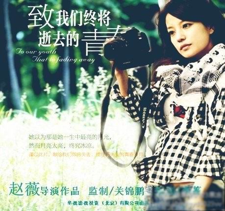 致我們終將逝去的青春電影，致我們終將逝去的青春電影紀(jì)念青春歲月