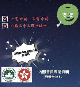 一碼三中三張總資料詳解，一碼三中三張總資料詳解概覽