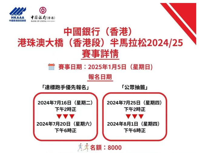 新澳2025正版資料大全，探索與解讀，新澳2025正版資料大全，深度探索與解讀