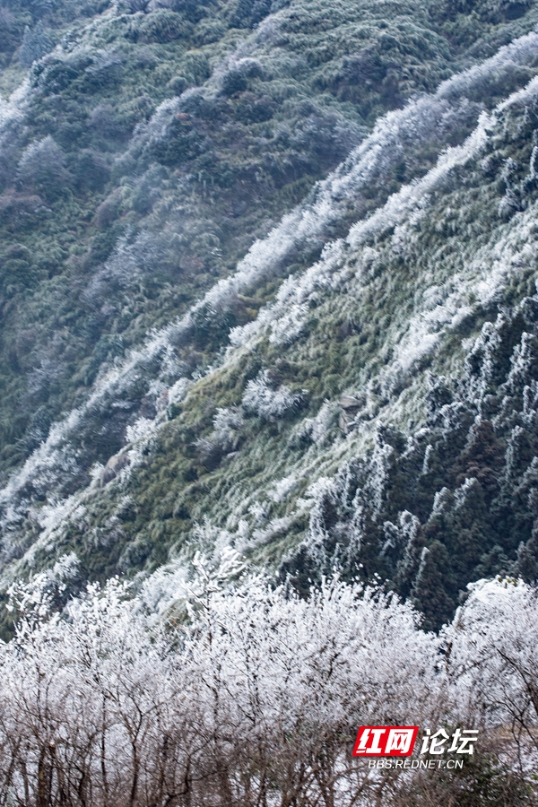 衡山天氣，多變與美麗的交響曲，衡山天氣，多變與美麗的自然交響曲