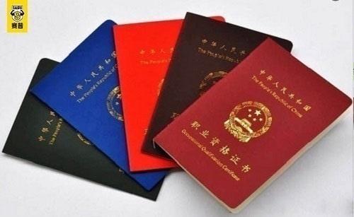 私人一對(duì)一輔導(dǎo)是否需要證書？探討與解析，私人一對(duì)一輔導(dǎo)是否需要證書，深入解析與探討