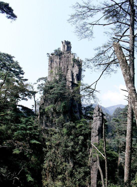 湖南莽山國(guó)家森林公園，自然之韻，人文之魂，湖南莽山國(guó)家森林公園，自然人文交相輝映的瑰寶