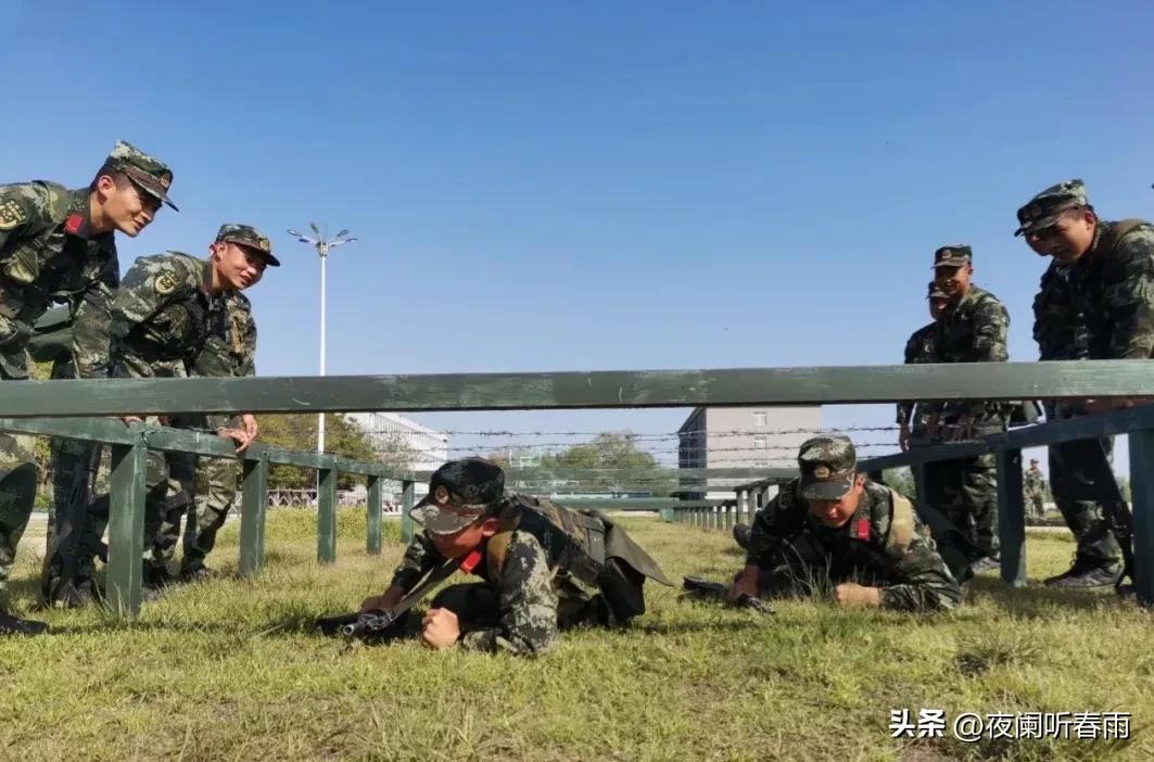 面對兒子堅決要退學，在軍校中的挑戰(zhàn)與應對策略，兒子堅決要退學，軍校挑戰(zhàn)與應對策略探討