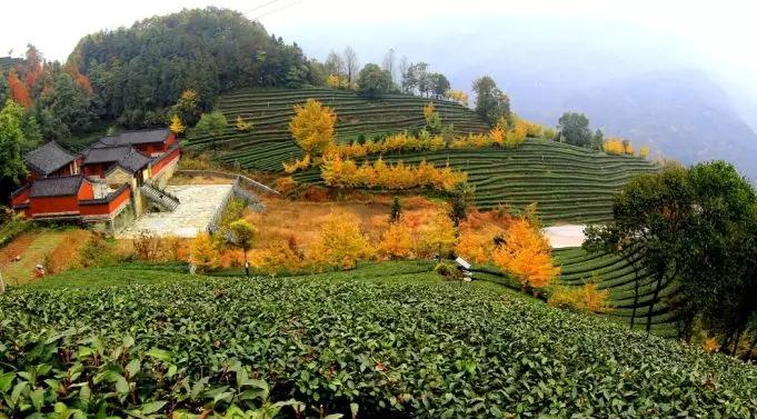 適合帶娃去的旅游景點(diǎn)，讓孩子在快樂(lè)中成長(zhǎng)，親子游必去景點(diǎn)，讓孩子在快樂(lè)中成長(zhǎng)的環(huán)境