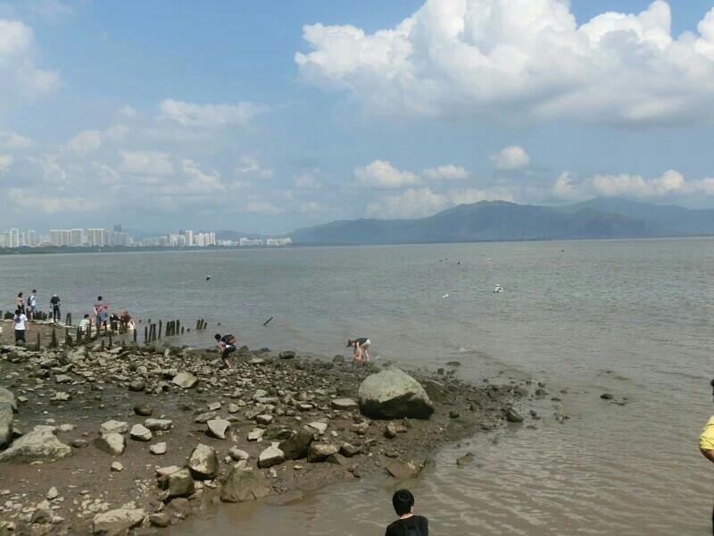 深圳紅樹林一日游攻略，深圳紅樹林一日游精彩攻略
