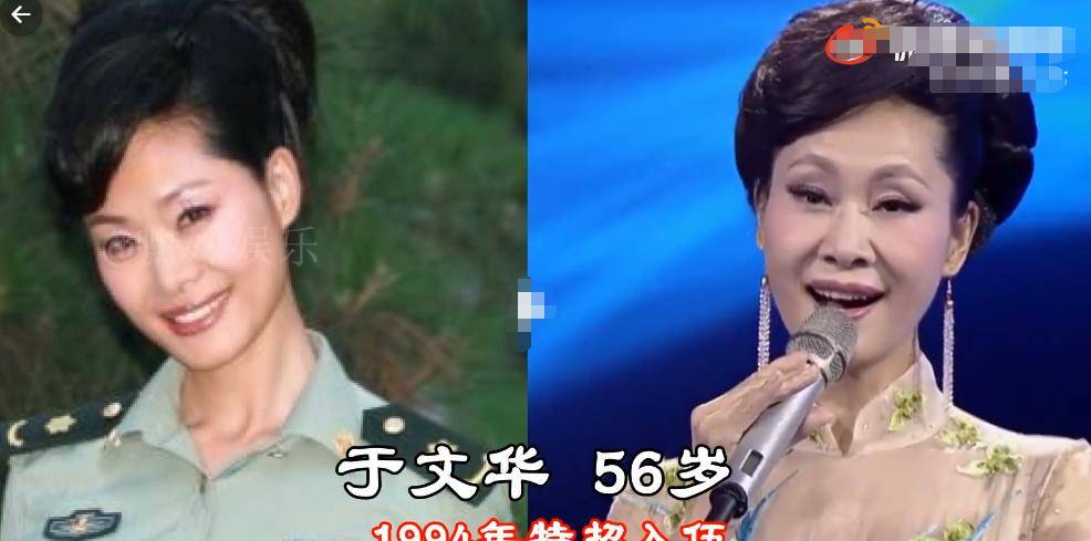 殷桃軍銜，榮耀與責任的象征，殷桃軍銜，榮耀與責任的標志