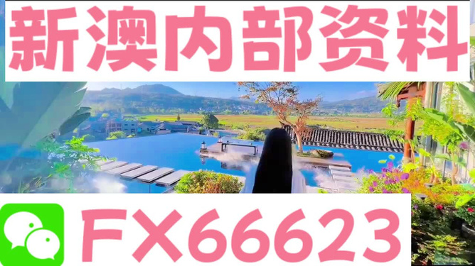 探索未來，聚焦49庫圖新澳2024展望，聚焦未來，探索新澳49庫圖展望2024