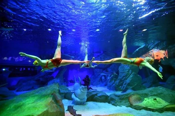 成都海昌極地海洋世界門票預(yù)訂攻略，成都海昌極地海洋世界門票預(yù)訂攻略詳解