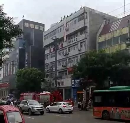 石家莊網(wǎng)友的力量，一個(gè)城市的聲音與共鳴，石家莊網(wǎng)友的力量，城市之聲與共鳴