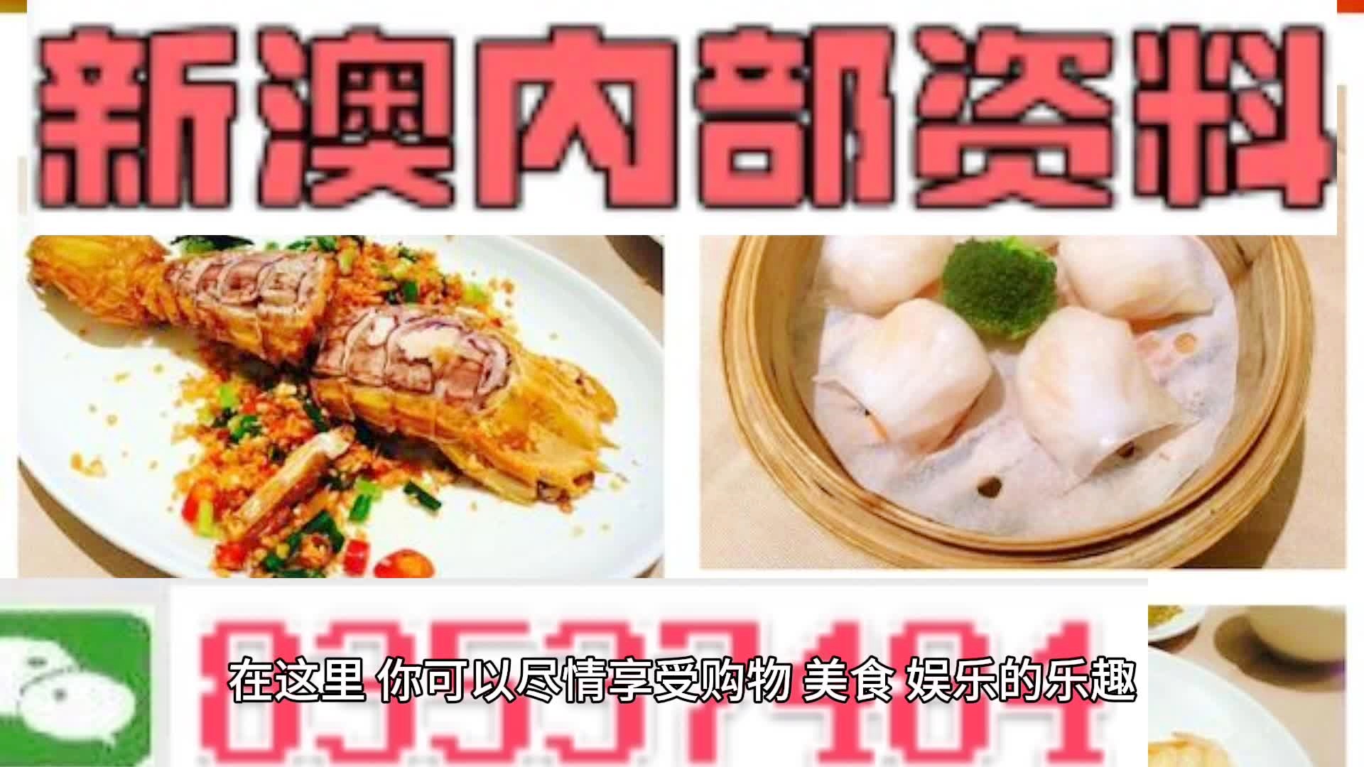 2025新澳精準(zhǔn)資料大全，探索未來的關(guān)鍵指南，2025新澳精準(zhǔn)資料大全，未來探索的關(guān)鍵指南
