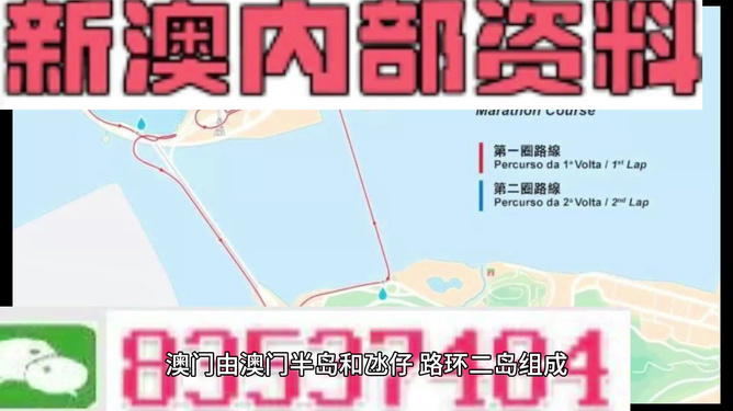 新澳彩資料免費資料大全，探索與解析，新澳彩資料免費探索與解析大全