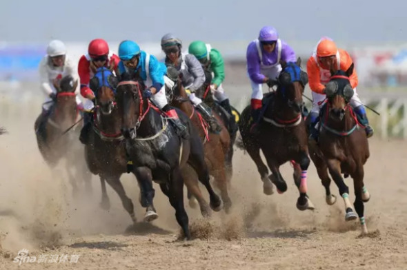 澳門特馬今晚開獎結(jié)果及其背后的故事，澳門特馬今晚開獎結(jié)果揭秘，背后的故事引人關(guān)注