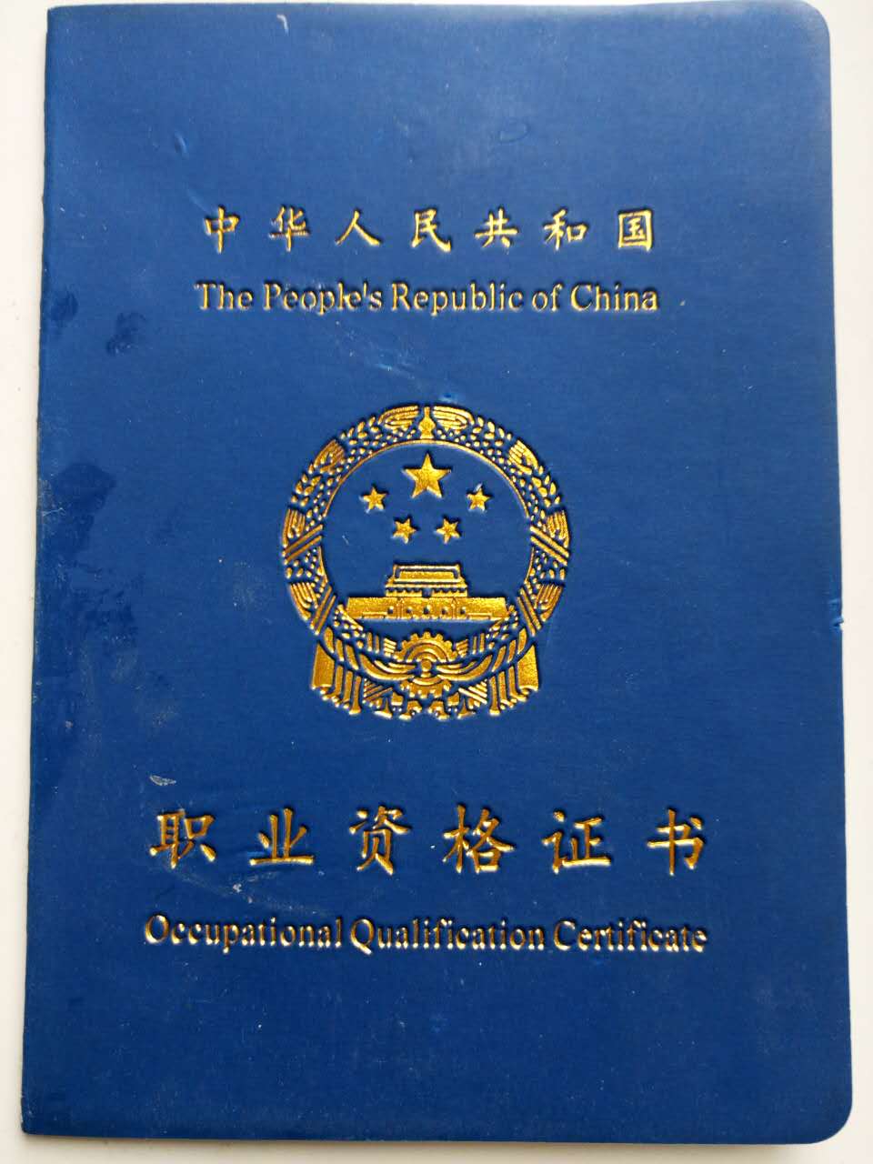 健身教練證所需學歷及職業(yè)發(fā)展路徑探討，健身教練證學歷門檻與職業(yè)發(fā)展路徑探究