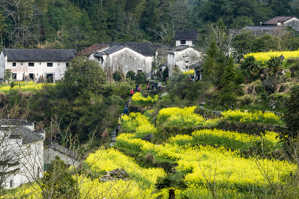 山村春情，一曲自然與生命的和諧贊歌，山村春情，自然與生命的和諧頌歌