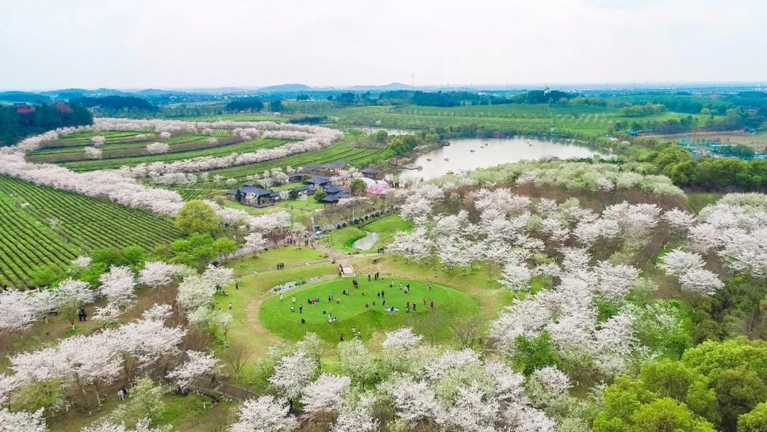 江西疫情最新情況，全面應對，守護家園安寧，江西疫情最新動態(tài)，全面應對，守護家園安寧