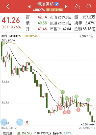恒瑞股票，深度解析與前景展望，恒瑞股票深度剖析與未來前景展望