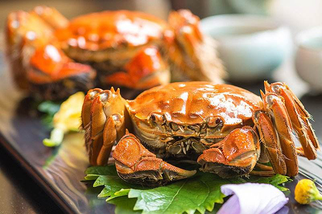 大閘蟹，美味佳肴與生態(tài)價值的完美結(jié)合，大閘蟹，美味與生態(tài)價值的雙重盛宴