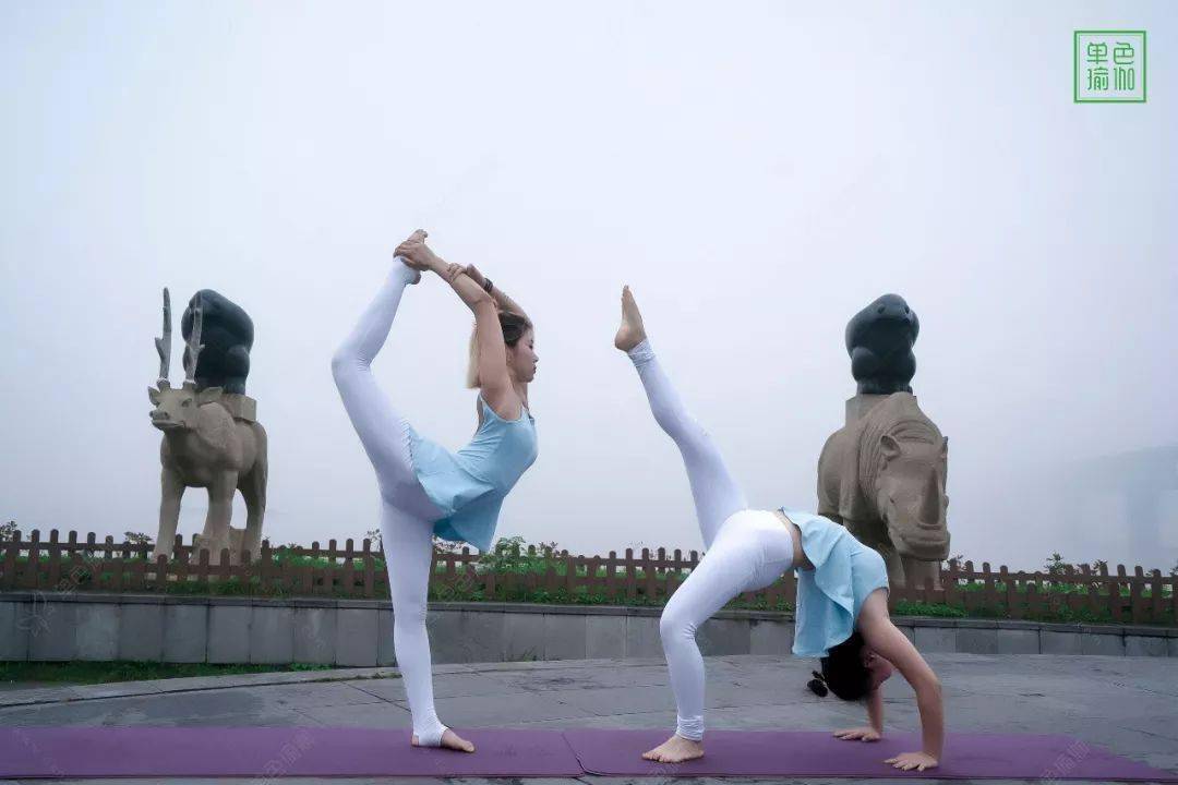 健身一對(duì)一私教課的價(jià)格研究，市場(chǎng)分析與普遍價(jià)位，健身一對(duì)一私教課價(jià)格研究及市場(chǎng)分析，普遍價(jià)位探討