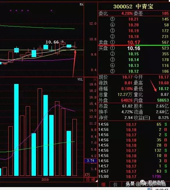 探索中青寶，數(shù)字世界的璀璨明珠 300052的魅力之旅，中青寶，數(shù)字世界的璀璨明珠，魅力之旅開啟！
